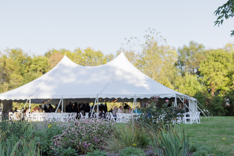 backyard wedding in Hope Indiana